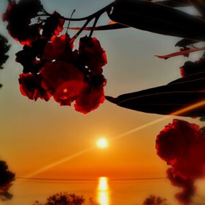 Die Melodie des Lebens - Sonnenuntergang auf Lefkas